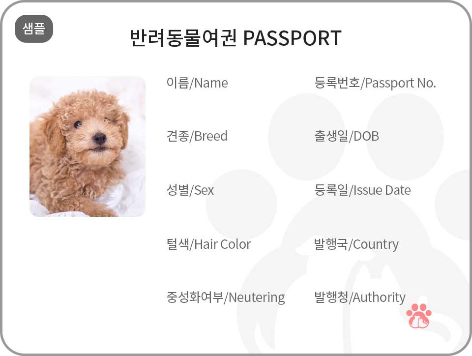 여권겸용 가로형카드